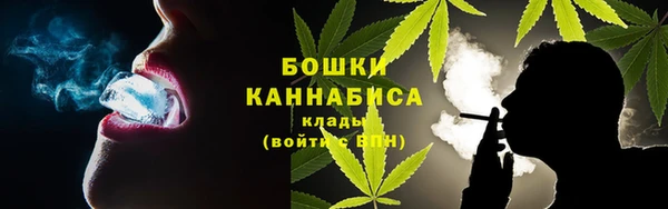 дмт Нягань