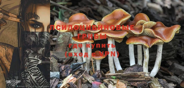 apvp Няндома