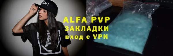 скорость Новозыбков