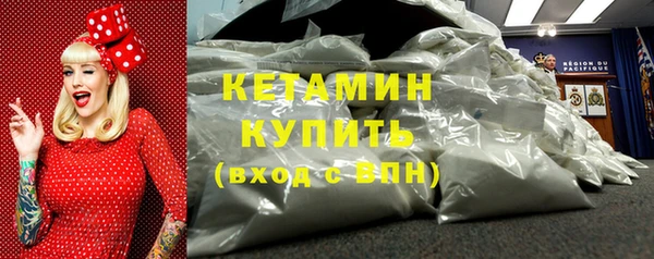 прущие грибы Новодвинск
