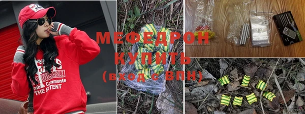 apvp Няндома