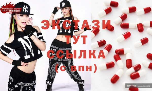 apvp Няндома