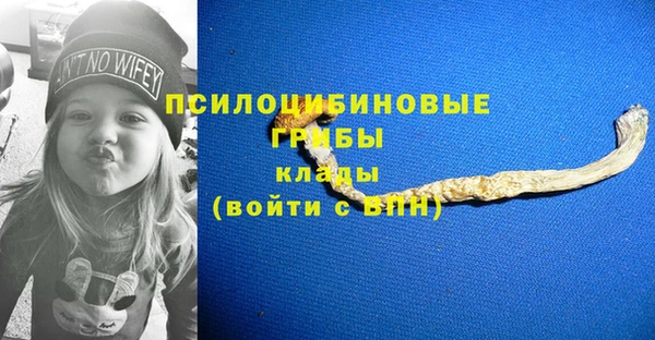 дмт Нягань