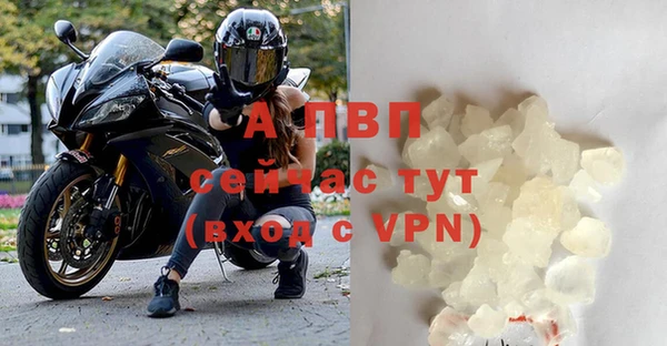 ГАЛЛЮЦИНОГЕННЫЕ ГРИБЫ Валуйки