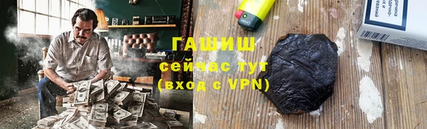 прущие грибы Новодвинск