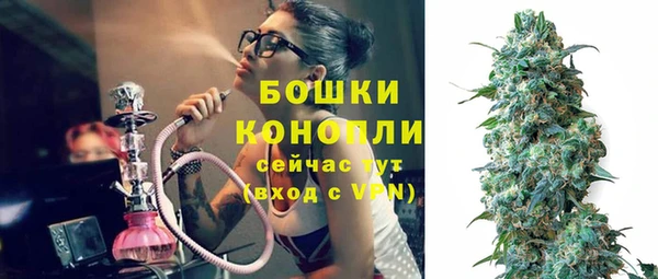 apvp Няндома