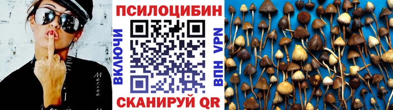 Псилоцибиновые грибы Magic Shrooms  Волгоград 