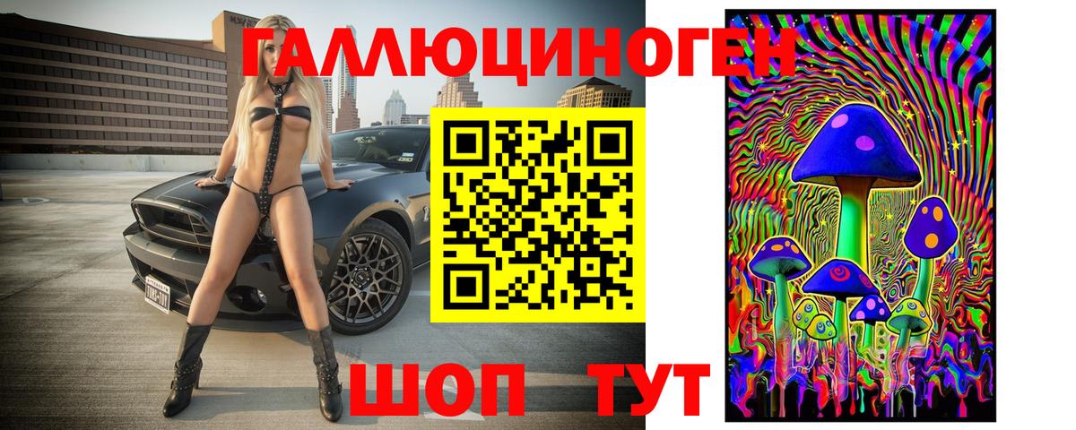 Галлюциногенные грибы Psilocybine cubensis  Волгоград 