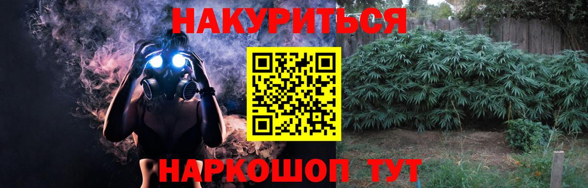 Каннабис планчик Волгоград